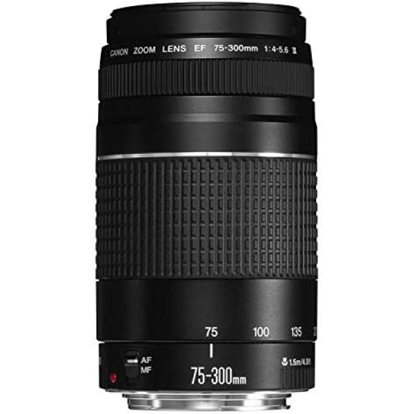 Canon EF 75-300mm f/4-5.6 III Telephoto Zoom Lens for Canon SLR Cameras
